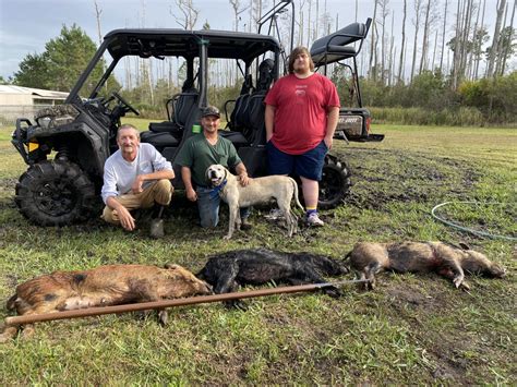 cheap hog hunt near orlando florida